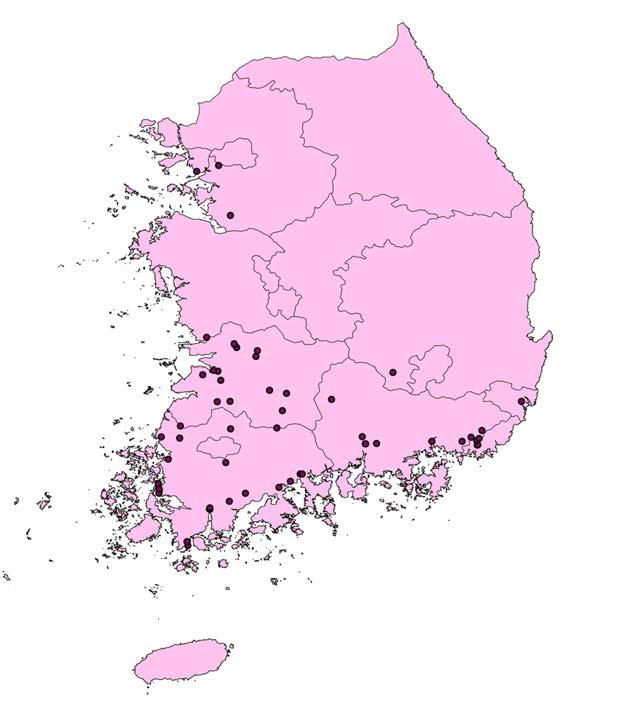 양미역취의 국내 발생지