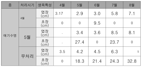 고압전기살초처리 후 애기수영 생육상태 변화