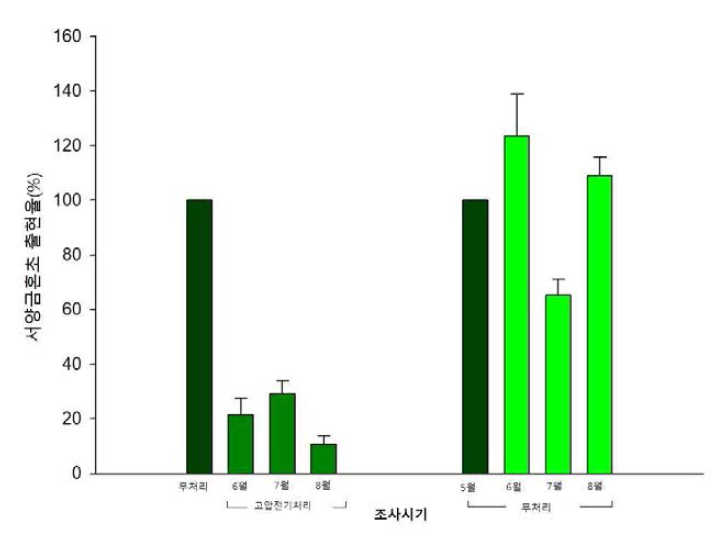 5월 고압전기살초처리 후 서양금혼초 출현율