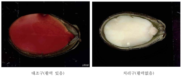 TTZ test를 활용한 가시박 종자의 활력 검정