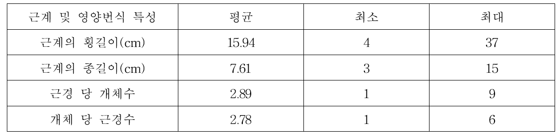 애기수영의 뿌리체계 및 영양번식 특성