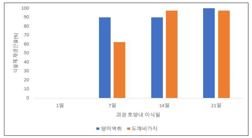 식물체 뿌리 이식 재생산율