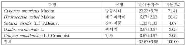 애기수영 대발생지 매토종자의 발아 양상