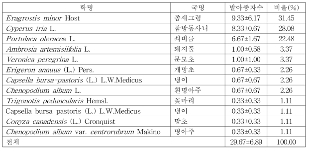 단풍잎돼지풀 미발생지(갈대 우점지) 매토종자의 발아 양상