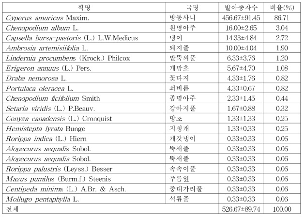 돼지풀 대발생지 (청주) 매토종자의 발아 양상