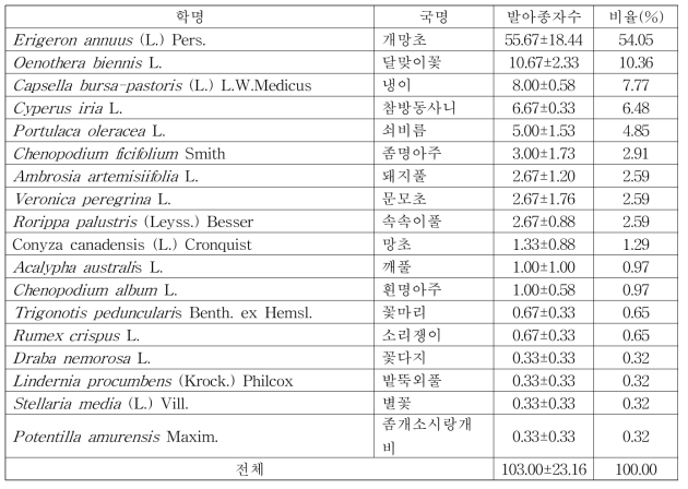 돼지풀 대발생지 (제주) 매토종자의 발아 양상