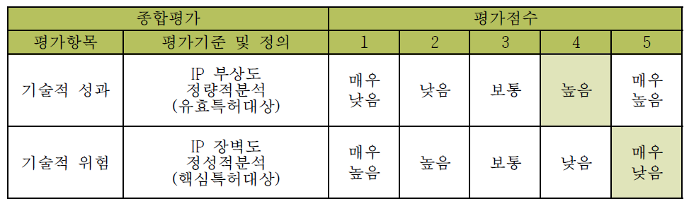 개발대상 기술 특허분석 결론