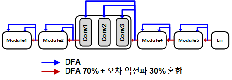 기존 CNN을 여러 모듈로 나눈 후 DFA를 구성한 구조도