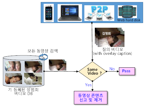 성범죄 피해 동영상 콘텐츠 확산 방지 방법 개요