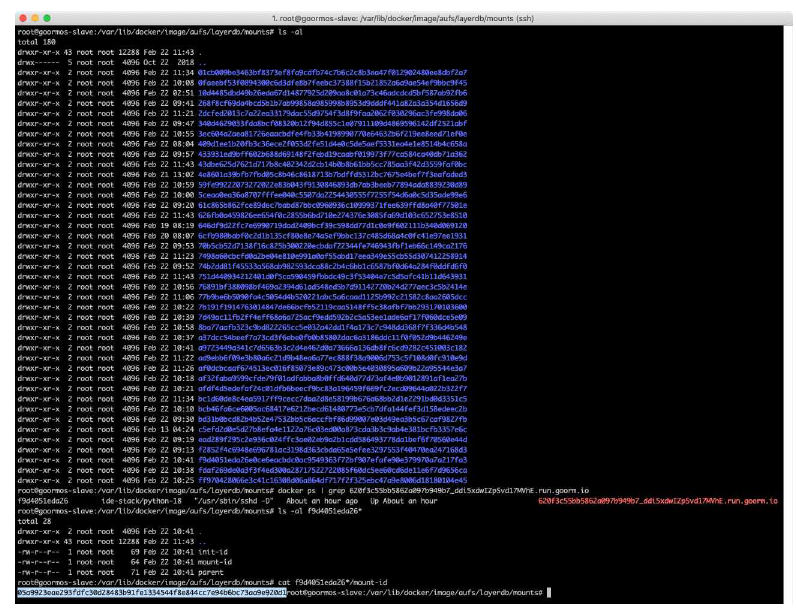 Docker 이미지의 Diff 저장 상태 및 mount-id 확인