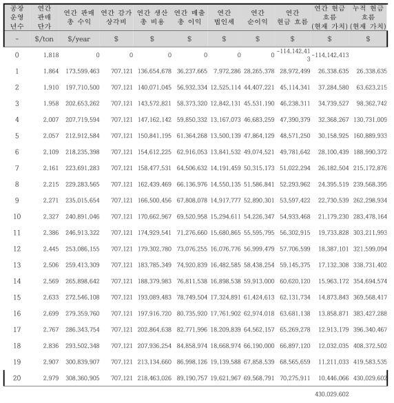 사업 타당성 지표 분석을 위한 연간 현금 흐름 분석