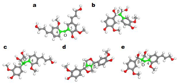 딜리그놀(dilignol) 분자 모델 (a. 4-O-5, b. β-1, c. α-O-4, d. β-β, e. β-O-4의 각 모델에서 결합은 녹색으로 표시함. 결합 원자를 제외하고 탄소, 수소 및 산소 원자는 각각 회색, 흰색 및 적색으로 표시함)