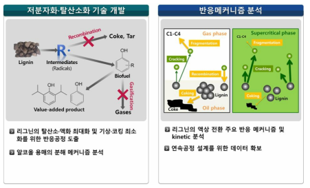 2차년도 성균관대학교 연구내용