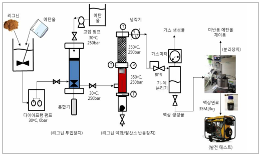 3차년도 한국에너지기술연구원 연구개발 연속공정 (0.2톤/일)