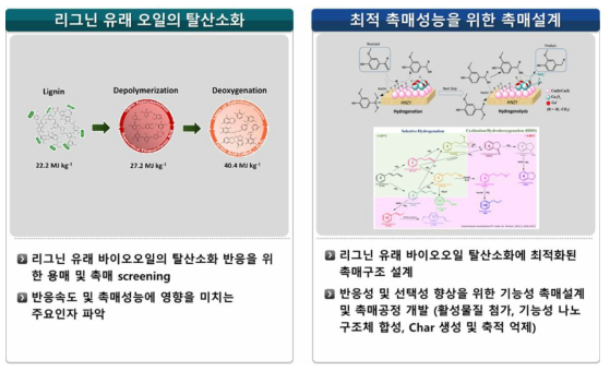 3차년도 성균관대 연구내용