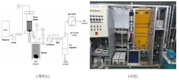 실험실급 리그닌 액화/탈산소 연속 반응장치의 개략도 및 사진