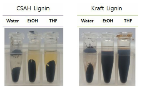 ] CSAH 리그닌과 Kraft 리그닌의 용해도 특성 비교