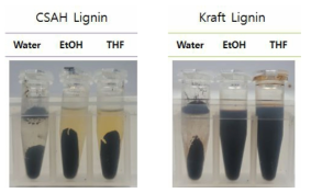 CSAH 리그닌과 Kraft 리그닌의 용해도 특성 비교