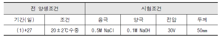 염화물 침투저항성 시험조건