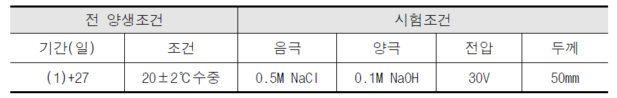 염화물 침투저항성 시험조건