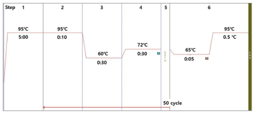PCR 수행조건