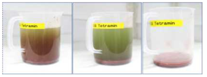 테트라민 용액 제조 과정