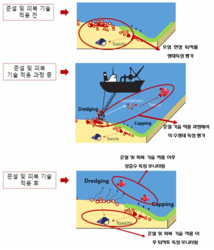 현장 적용 시험에서의 유해화학물질 생태독성 평가