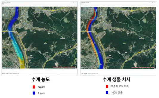 누출 시작 200시간 후 수계 내 페놀농도 및 수계 생물 치사율 수치