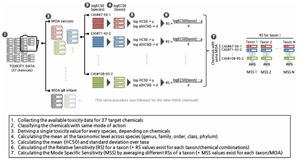 독성학적 민감도를 나타내기 위한 MSS 도출 과정 (Rubach et al., 2010)