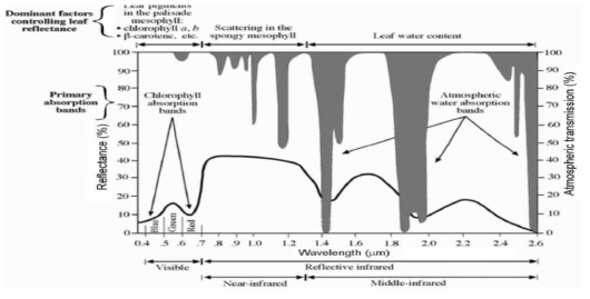 식물의 분광 반사율에 영향을 미치는 요인 (출처: Gogoi, Deka, and Bora, 2018, Remote sensing and its use in detection and monitoring plant diseases: A review, Agricultural Reviews, 308 page, Fig. 1에서 인용)