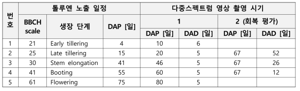 톨루엔 증기 노출 실험 및 다중스펙트럼 영상 촬영 시기