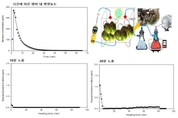 TVOC(벤젠 치환)를 이용한 육상생물(식물) 벤젠 노출 진단 실험