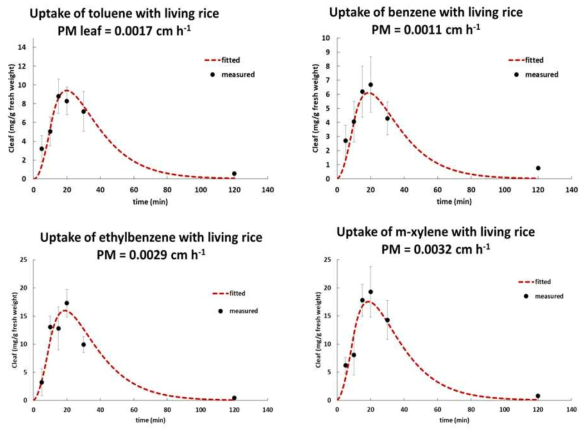 벤젠, 톨루엔, 에틸벤젠, m-자일렌 노출에 의한 식물흡수 예측과 실제 흡수량 비교
