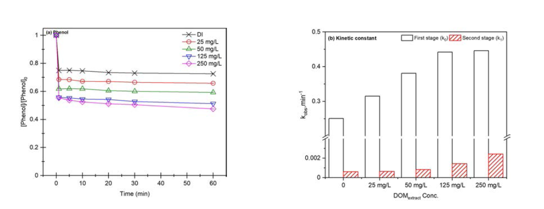 용존유기물질 농도에 따른 (a) 페놀 제거효율, (b) 페놀 제거 속도 상수