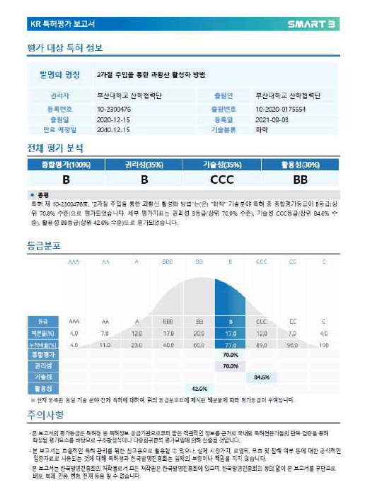 지식재산권 우수성(SMART 분석) 요약 보고서