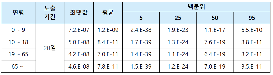 만성 위해성평가 결과(비발암-섭취)