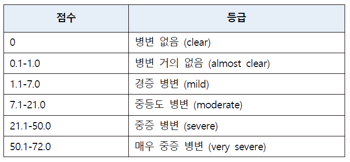 중증도 지수