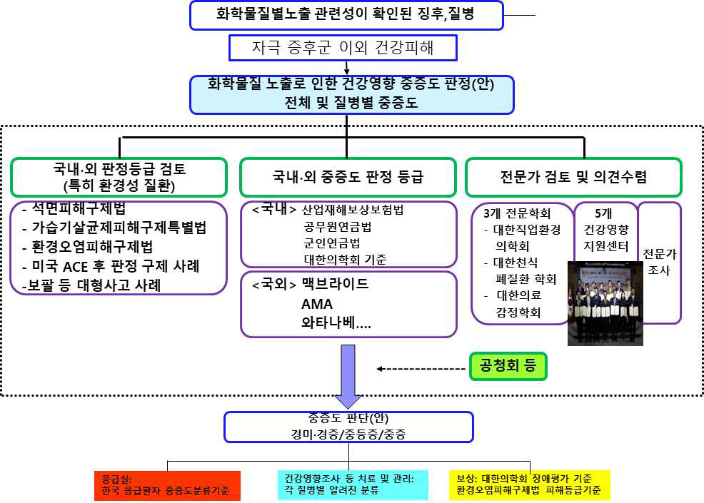 화학물질 노출로 인한 건강영향 중증도 판단기준 개발 개요