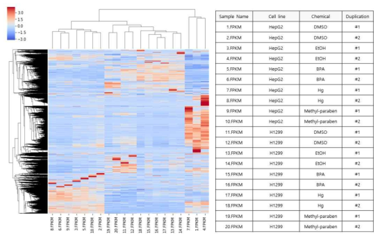 세포주 RNA-Seq데이터의 heatmap 결과