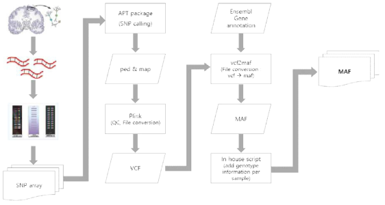 SNP Array 분석 파이프라인 흐름도