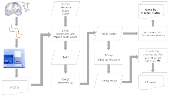 RNA Seq 전처리 흐름도