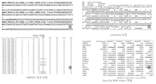 MeDIP Seq 전처리 과정에서 생성되는 파일 예제