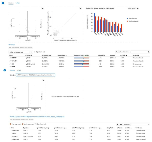 Enrichment 분석 결과 예시 (1) mutation 정보에 대한 enrichment 분석 결과. (2) mRNA 발현 수준 에 대한 enrichment 분석 결과