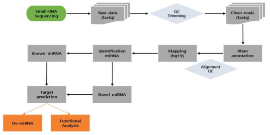 Small RNA 분석 파이프라인