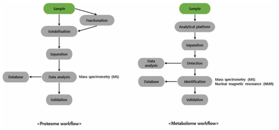 프로테옴, 메타볼롬 분석 파이프라인