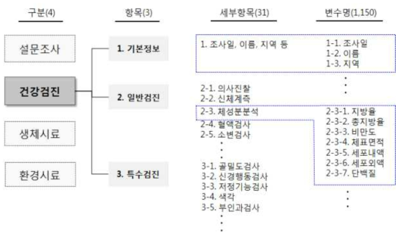 건강검진 DB 구성