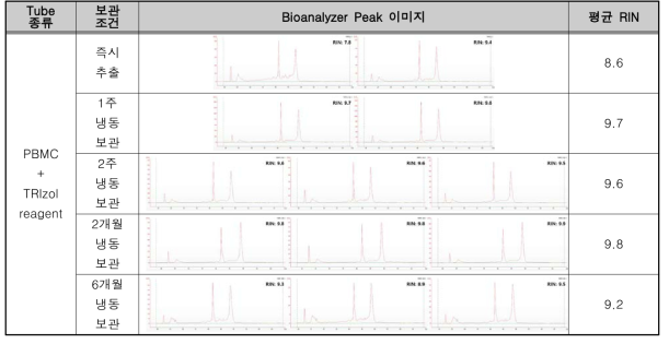 PBMC + TRIzol reagent (invert) 보관 조건의 RNA 추출 정성 결과