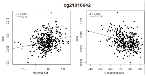 cg21010642 CpG마커에 대한 엄마의 카드뮴 노출과 임신 주수와의 상관성 결과