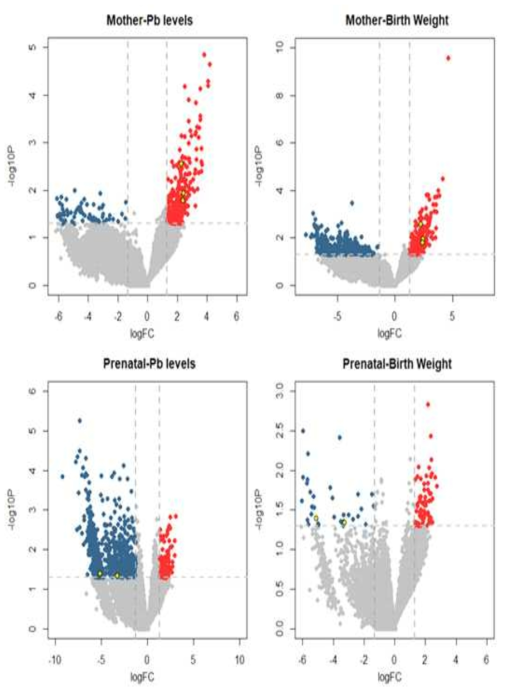 납 노출 및 출생체중에 대한 volcano plots