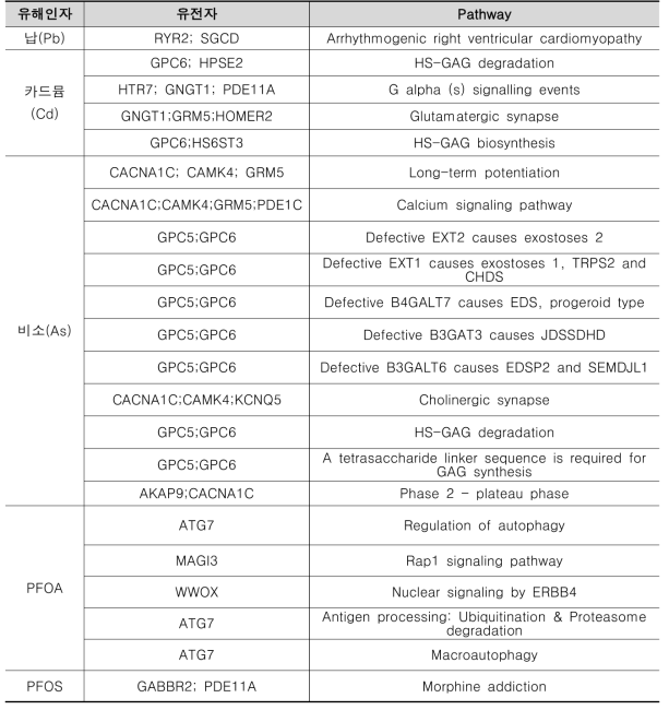 엄마그룹에서 저체중과 관련된 차등 메틸화 지역에 분포한 중첩유전자의 pathway 분석결과